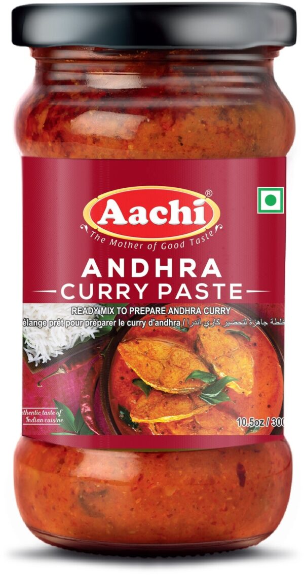 AACHI ANDHRA CURRY PASTE 300G
